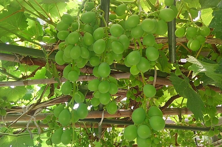 KIMG0611